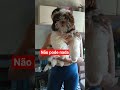 #nadapodemamae #pet #amorpets #cuidadoscompets