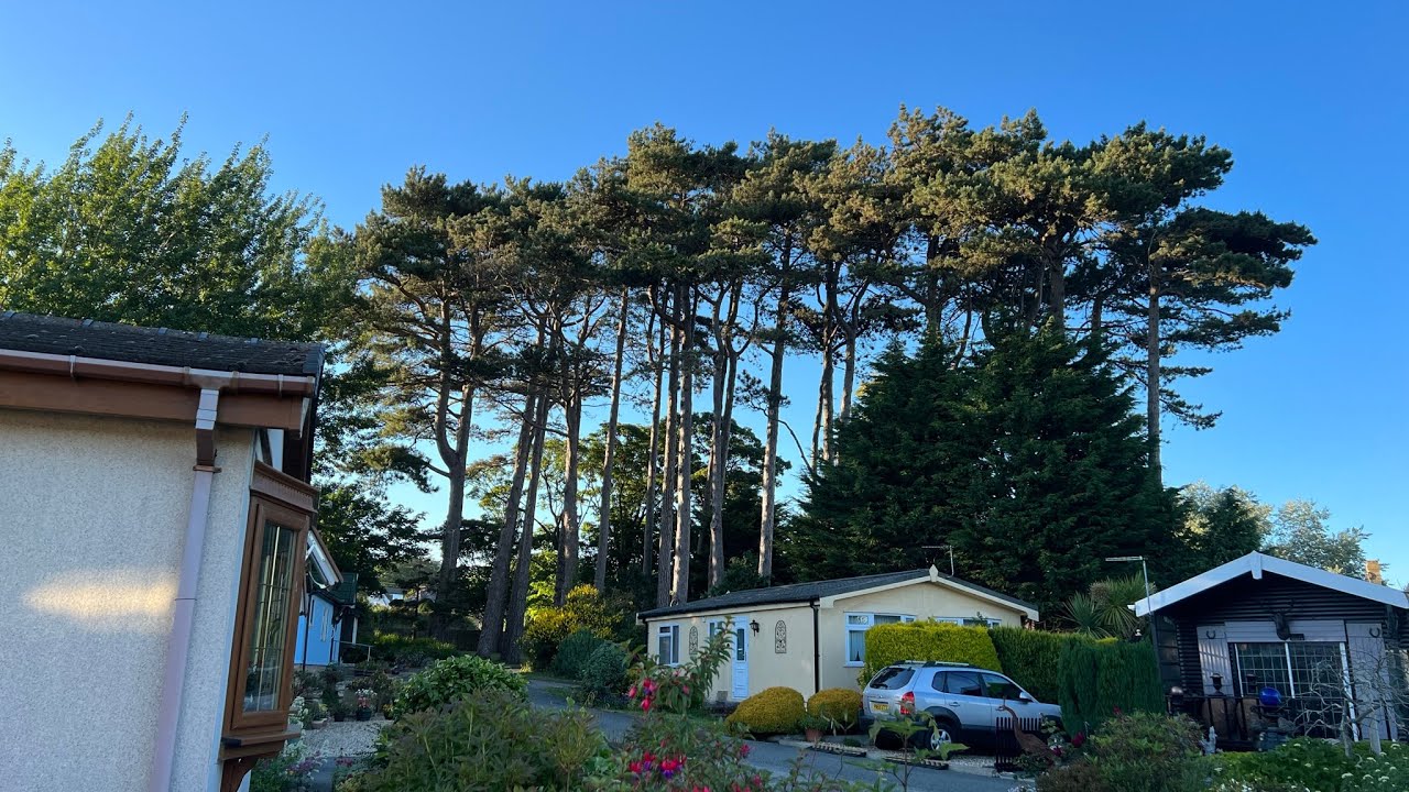 Welcome to The Pines Penmon Anglesey