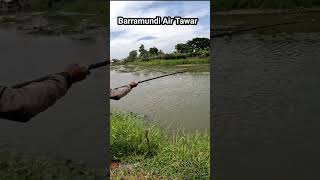Mancing Kakap Putih/Barramundi Di Sungai Air Tawar