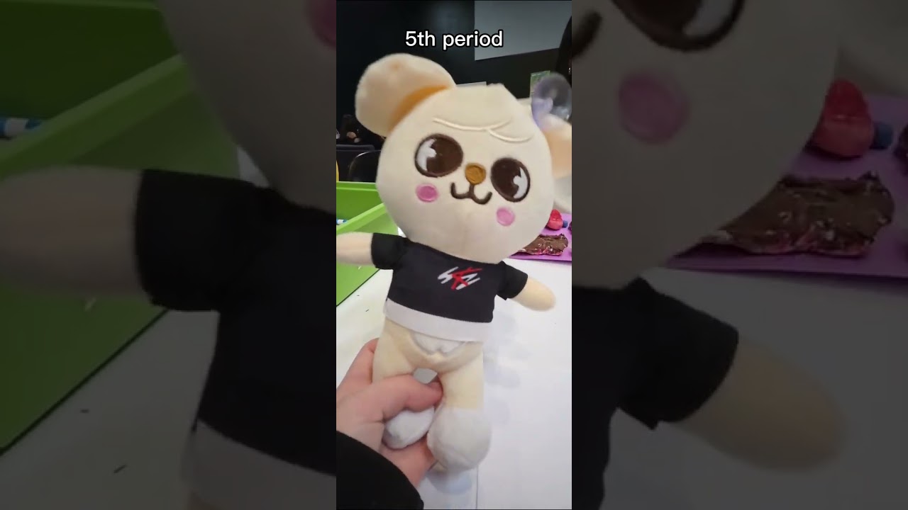 TAKE PUPPYM TO SCHOOL 😍