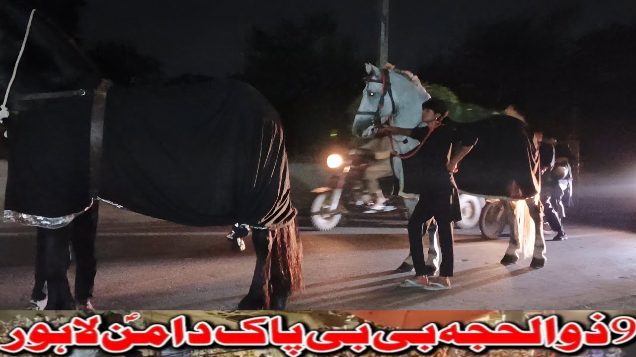 Zuljanah sakhi badshah zuljanah ashal badshah zuljanah salar badshah zuljanah shah sawar badshah