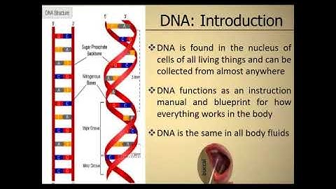 Medical Advocacy Series 2017 (2 of 3): DNA Essentials for Advocates and Survivors