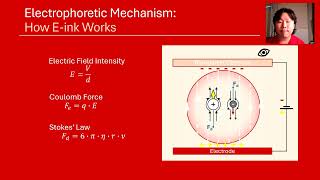 MAE/ECE 535 Demonstration: Electrophoretic Mechanism
