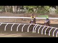 View race 4 video for 2019-09-21