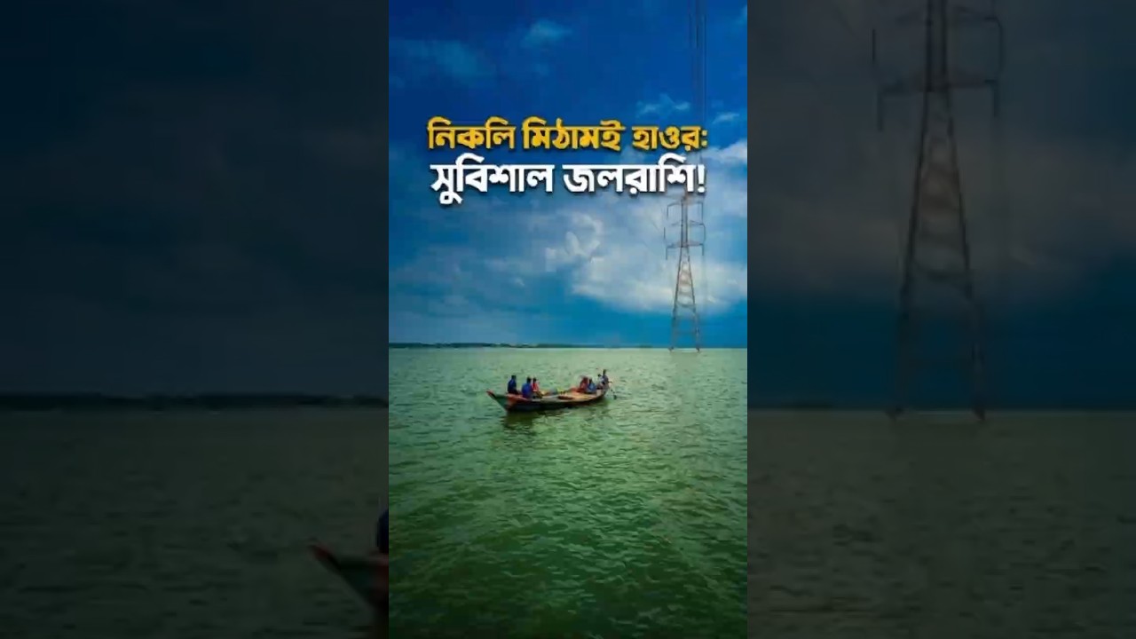 ঢাকার কাছেই মিনি কক্সবাজার! নিকলি ও মিঠামইন হাওর ভ্রমণ | Nikli Haor Kishoreganj Tour #shorts