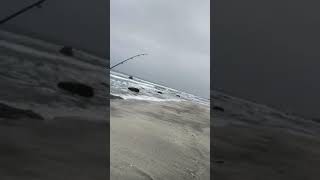 Pesca de lenguado Antofagasta #-4