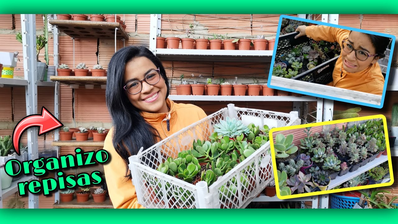 ASÍ VA QUEDANDO MI NUEVO VIVERO DE SUCULENTAS 🌱👩🏽‍🌾 | Jardines by Angie