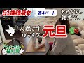 50代独身女の元旦／おせちなし・雑煮なし・予定なし。ひとりで過ごすぼっちな正月