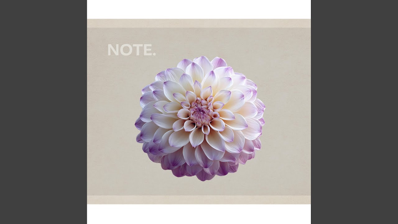 Gentle Spark Alignment