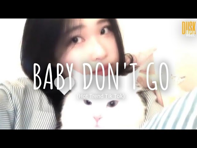 Baby Don't Go (remix cute) - DJ Borneo // (Vietsub + Lyric) Hot Tik Tok class=