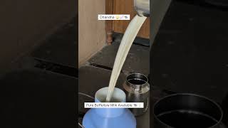 Dairy business life #diaryfarming #business #farming #agriculture #animals