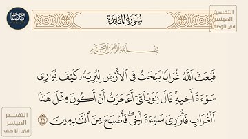 ( فبعث الله غرابا يبحث في الأرض ليريه كيف يواري سوأة أخيه قال ياويلتى... ) سورة المائدة ايه رقم 31