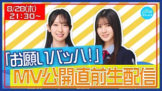 日向坂ちゃんねるの配信のサムネイル画像