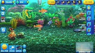 Breeding the Magic Fish of Vigor - Fish Tycoon 2 screenshot 5