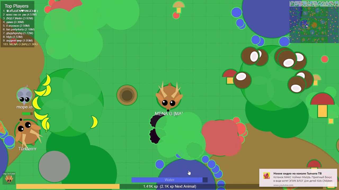 Io games github. Io games github