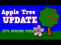 Springtime and Apple Blossoms Quiz