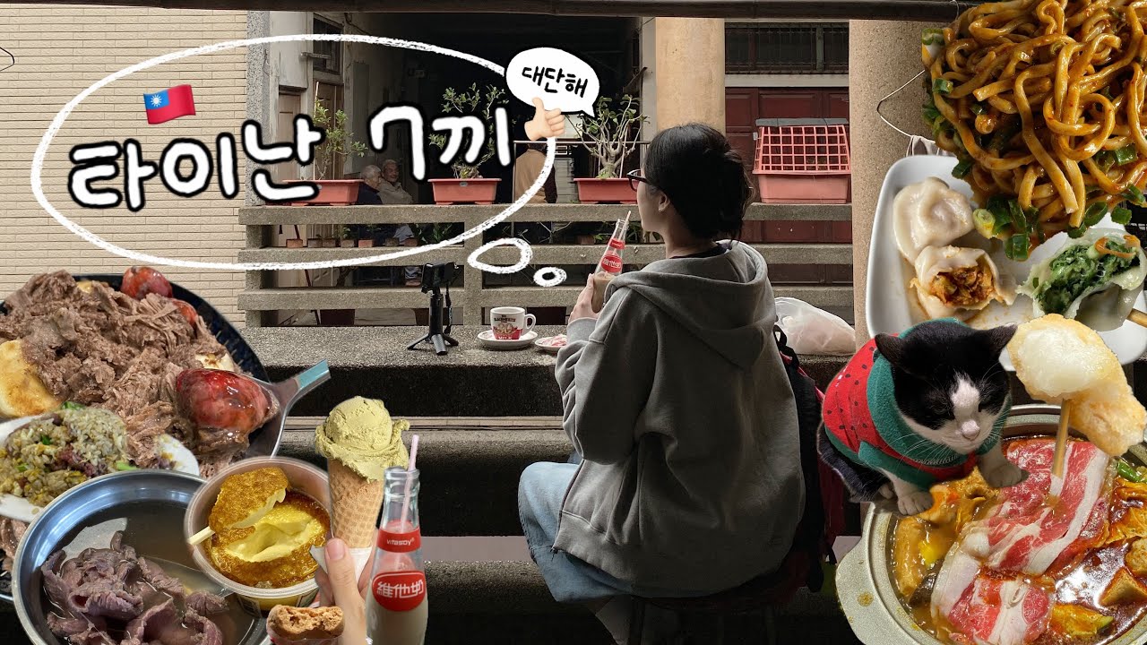 타이난 당일치기 여행🇹🇼 현지인 추천 맛집 포함 7끼! | 우육탕, 카페, 디저트, 감성 포토존 션농지에, 마라탕 | 📍구글맵공유 | 대만 여행 브이로그 tape 3