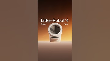The New Litter-Robot Line Up Is Here