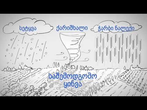 როგორ მუშაობს აგროდაზღვევის პროგრამა #გორის მუნიციცპალიტეტის გამგეობა