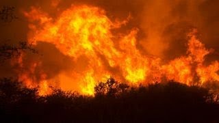 California wildfires destroy thousands of structures and vineyards