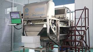 Angelon double layer belt type waste glass color sorting machine/jasmine@ajlong.cn