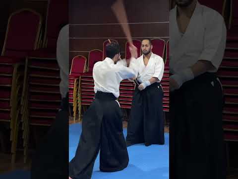 آيكيدو سليمان ايكيدو ون بيس سيف أنمي ساموراي دفاع عن النفس    