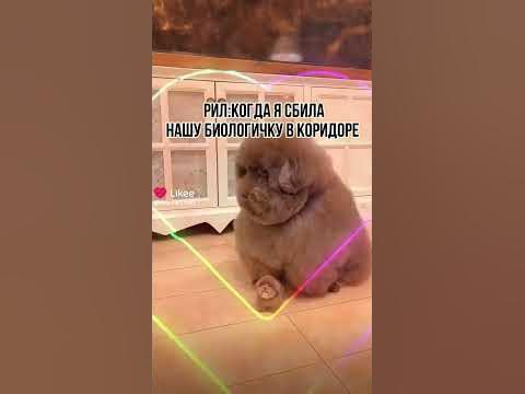 ипучи🥵🥵🥵🥵🥵🥵🥵🥵🥵🥵🥵🆘️🆘️🆘️🆘️🆘️🆘️🆘️🆘️ - YouTube