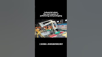 Industrial robot:the real master of palletizing and packaging #machine #industrialrobot #robot
