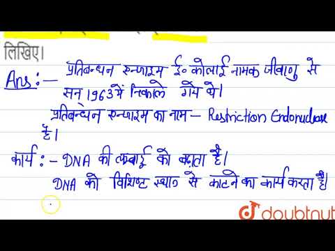 वीडियो: प्रतिबंध एंजाइम का कार्य क्या है?