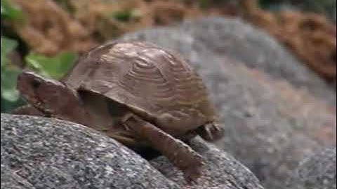 Fanastic for May 2021 (It