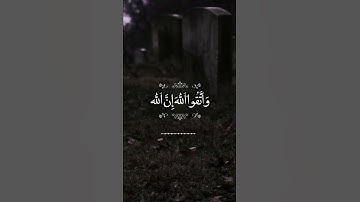 المنشاوي تلاوة تشرح الصدر (4)
