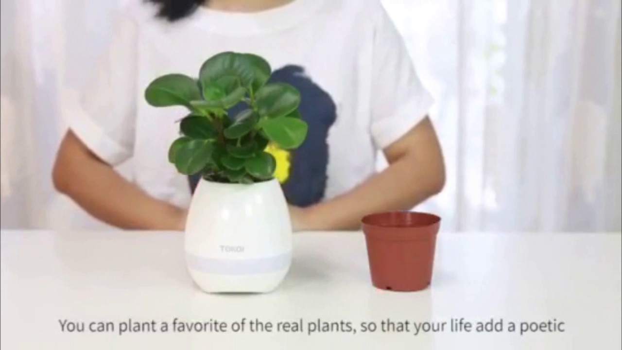 Special Flowerpot Bluetooth Speaker Plant/Tidebuy