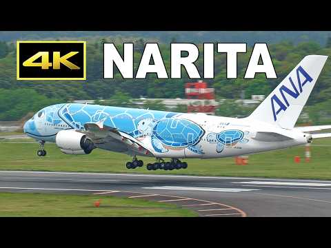 [4K] 春の成田空港 - 大型機の離着陸シーン（A380, 777, 787, A350, A330）