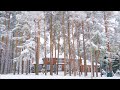 Winter Walk in Snow and Cozy Homes in Forest area of Toronto suburban after Snow Storm