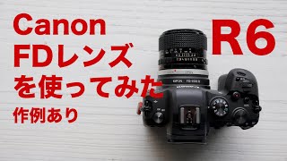 Canon FDレンズをEOS R6で使ってみました