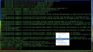 How To install Fusio on Opensuse Leap 42.3