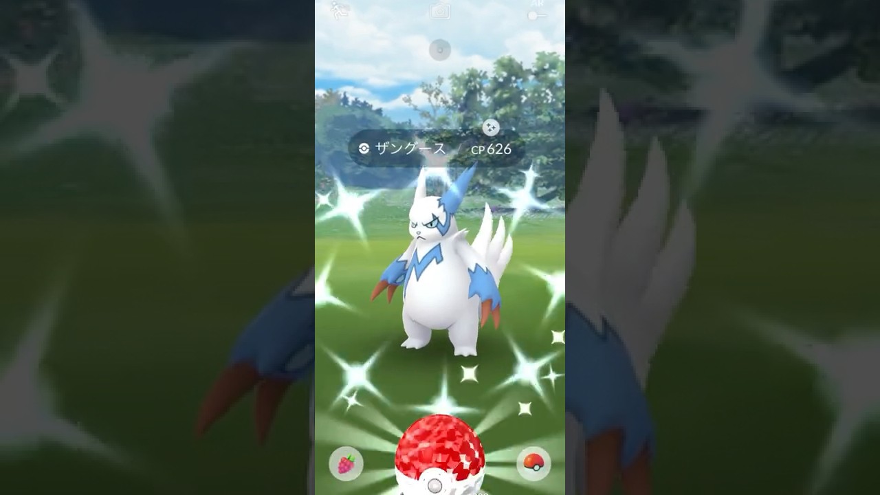 ポケモンgo ザングース 色違い 捕獲動画 Youtube