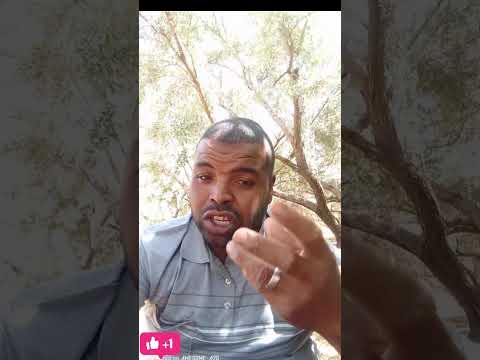 شفونا دروش رد نا قشا وش