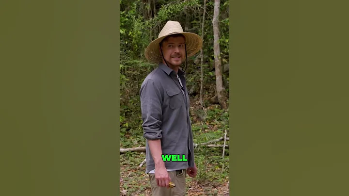 2000-Year-Old Mayan Secrets! We Only Have 100 Hours!