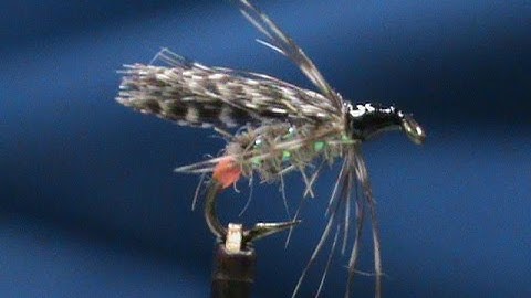 Beginner Fly tying a Teal and Partridge Hot Spot Wet Fly with Jim Misiura
