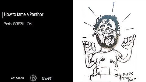 Kernel Recipes 2025 - How to tame a Panthor