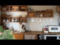 朝ごはんから始まる猫との暮らし/観葉植物の植え替え/神戸三田でショッピング【猫との暮らしvlog】