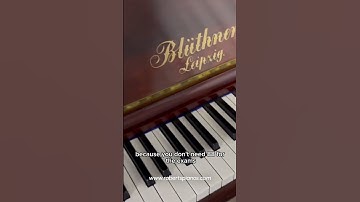 PLEASE CLICK ON THE LINK ABOVE FOR THE FULL VIDEO ASSESSMENT