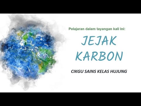 Video: Adakah akan mengurangkan jejak karbon anda?