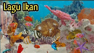 LAGU IKAN - BANYAK IKAN IKAN DI DALAM LAUTAN - LAGU ANAK POPULER