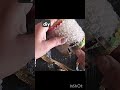 DIY Cardboard roll craft idea | Best out of waste #diy#pinterest