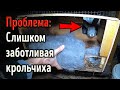 Проблема: Слишком заботливая крольчиха