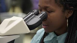 UAMS College of Health Professions — Bachelor of Science in Medical Laboratory Sciences Program