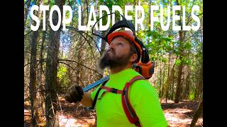 How to Prune Trees for Wildfire Mitigation