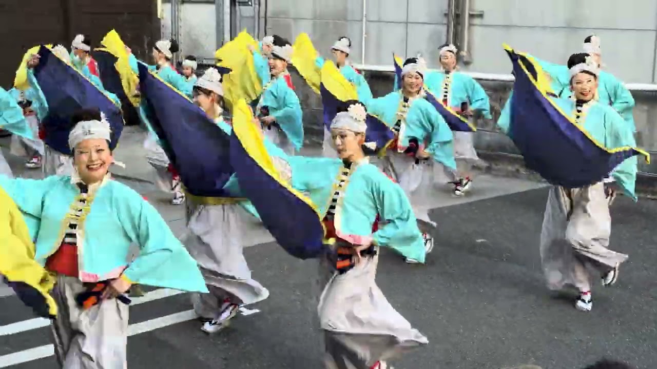 Always Yosakoi   2026踊り